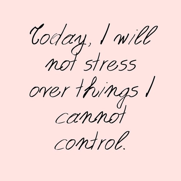 Meet your Posher, Maya - Picture 3 of 3